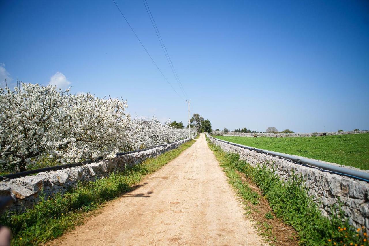 Masseria Guadiano Vecchio سانتا لوسيا المظهر الخارجي الصورة